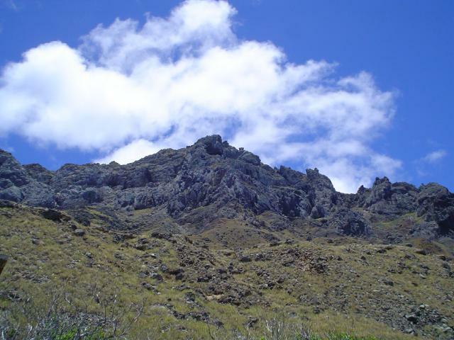 DSC07121