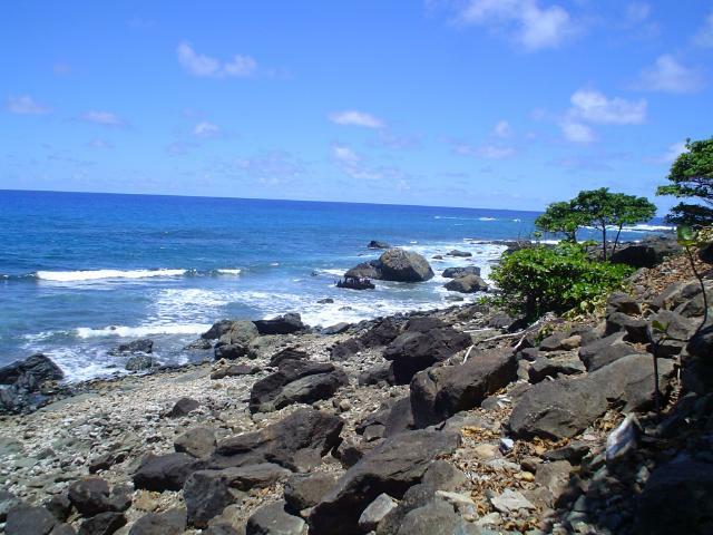 DSC07125
