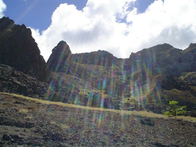 DSC07130