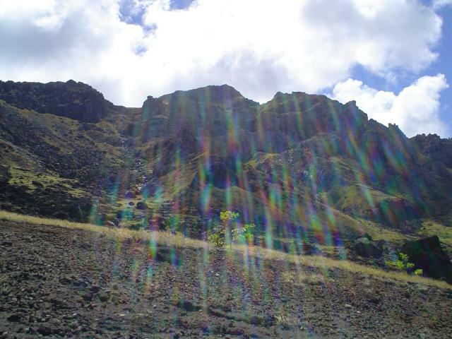 DSC07131