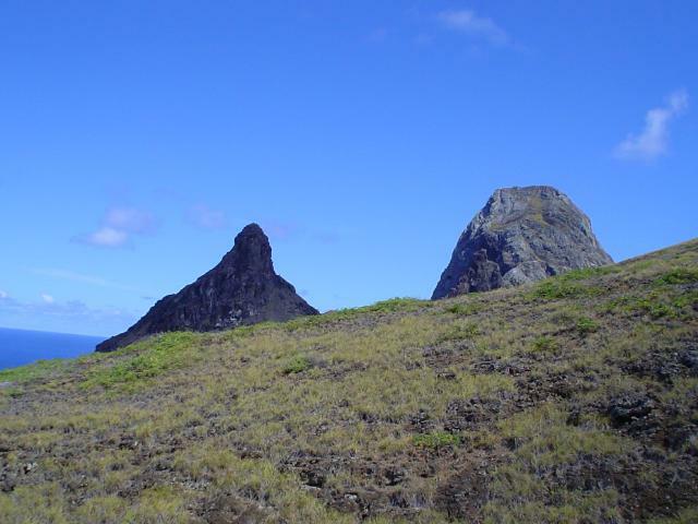 DSC07136