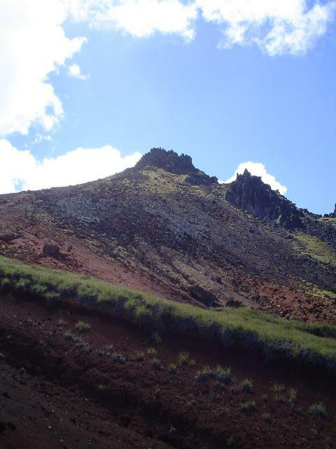 DSC07141