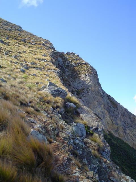 DSC07155