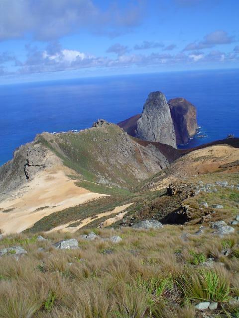 DSC07156