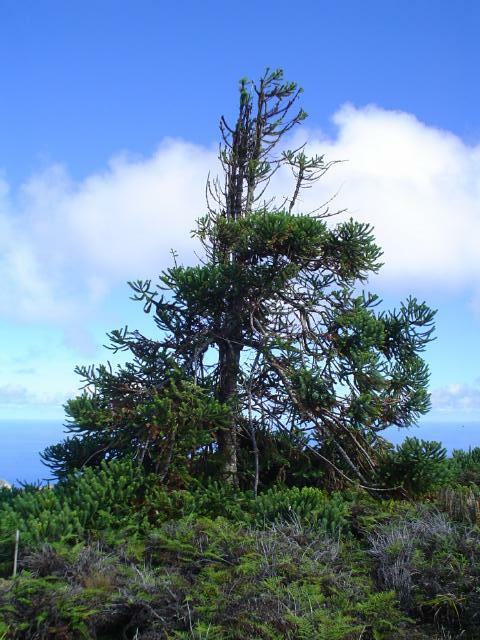 DSC07169