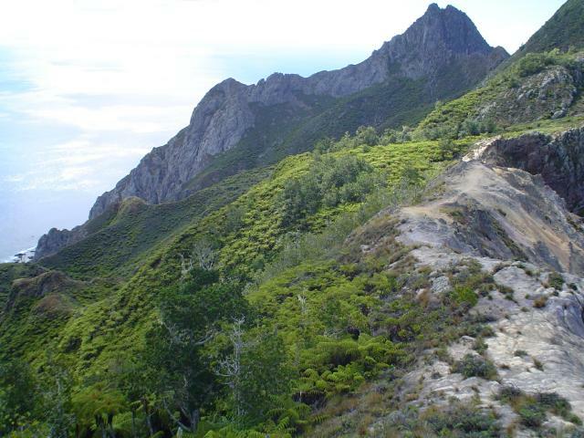 DSC07183
