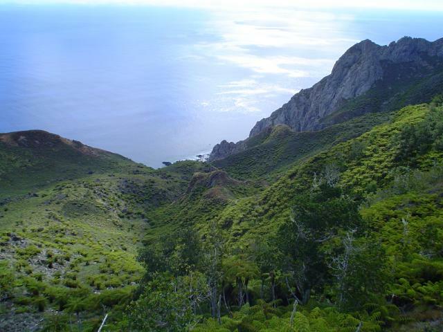 DSC07184