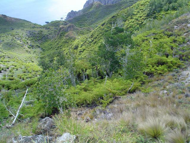 DSC07185