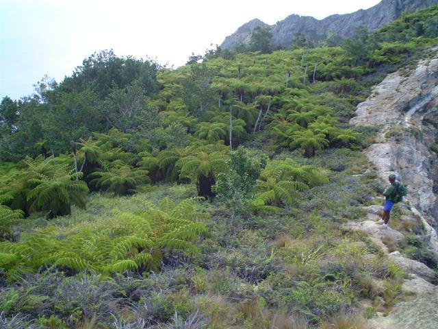DSC07186