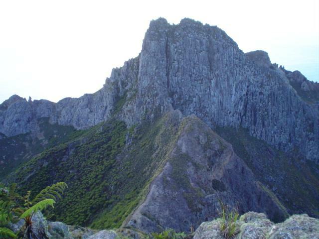 DSC07207