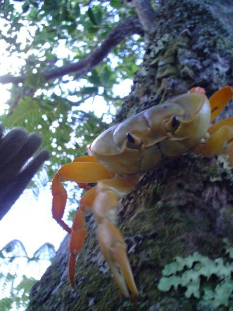 DSC07211