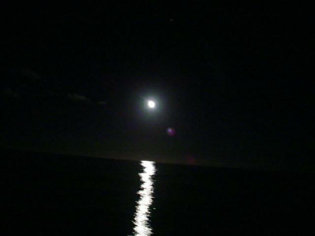 DSC07231