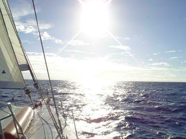 DSC07310