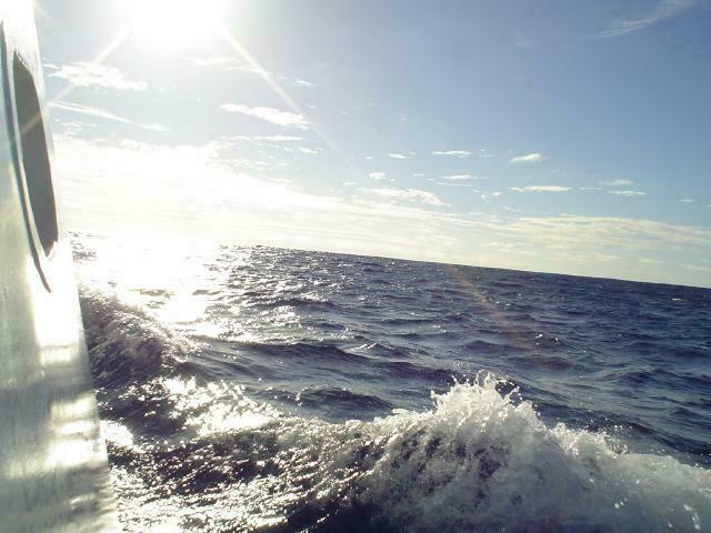 DSC07311