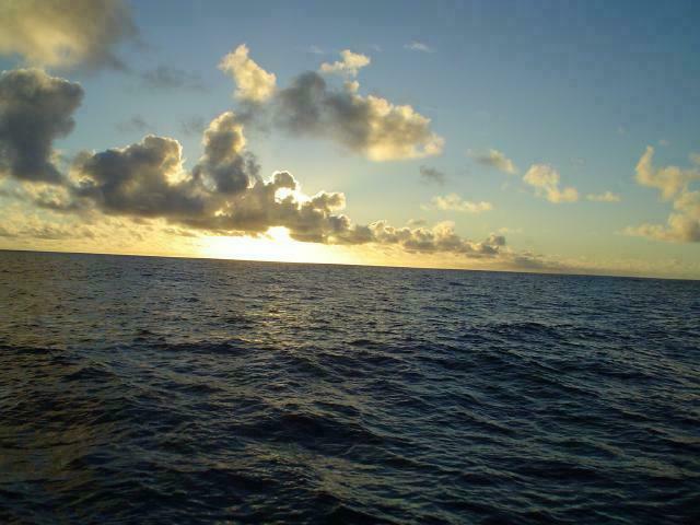 DSC07320
