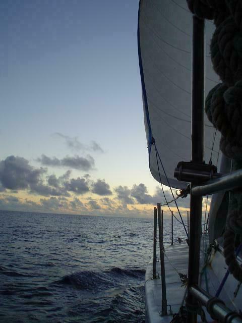 DSC07334