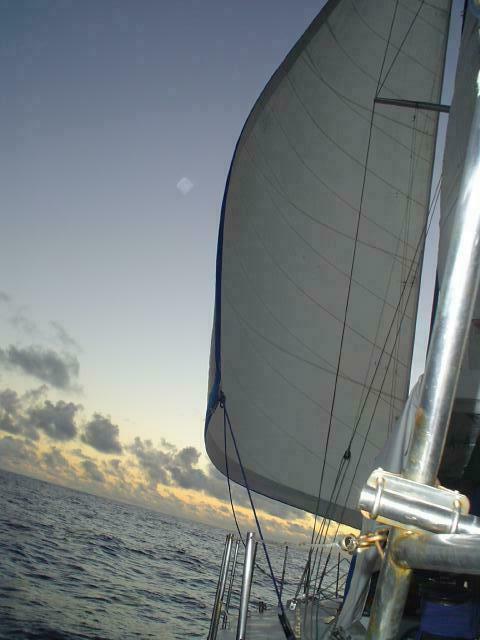 DSC07336