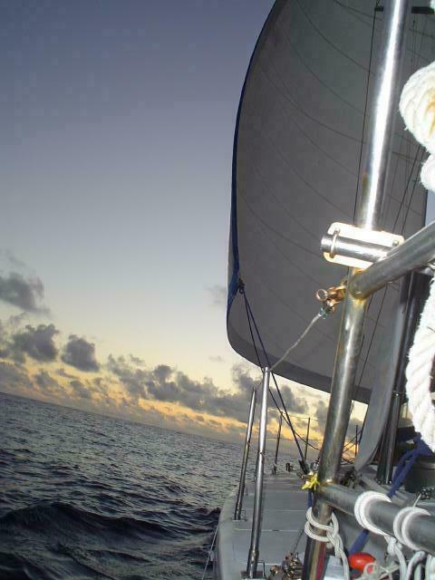 DSC07337