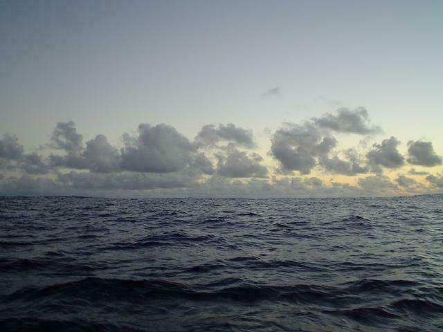 DSC07338